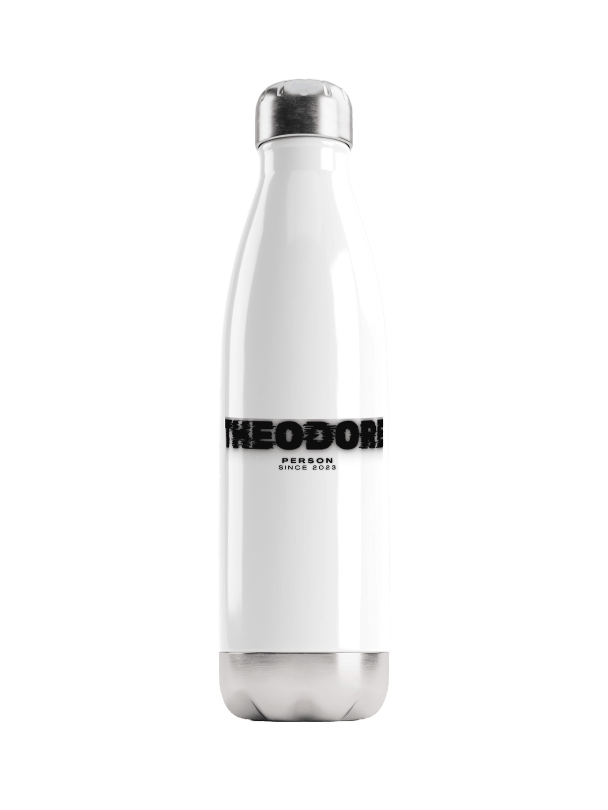 THEODORE's Stainless Steel Water Bottle - Glitch Design